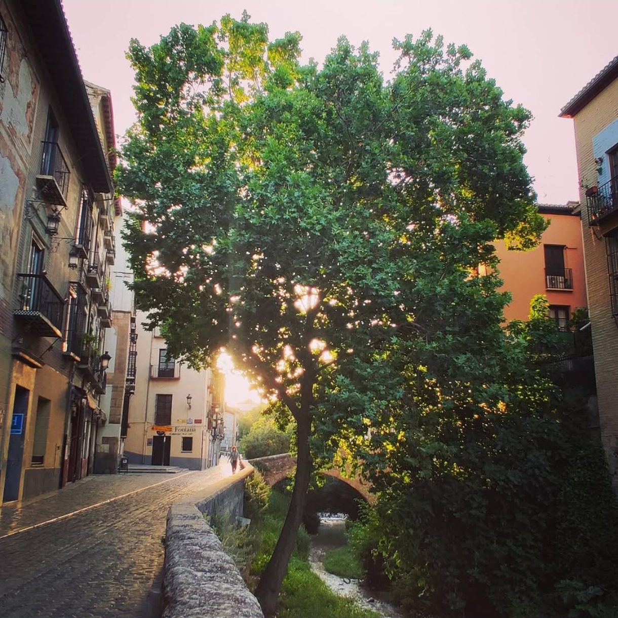 La Carrera del Darro al atardecer