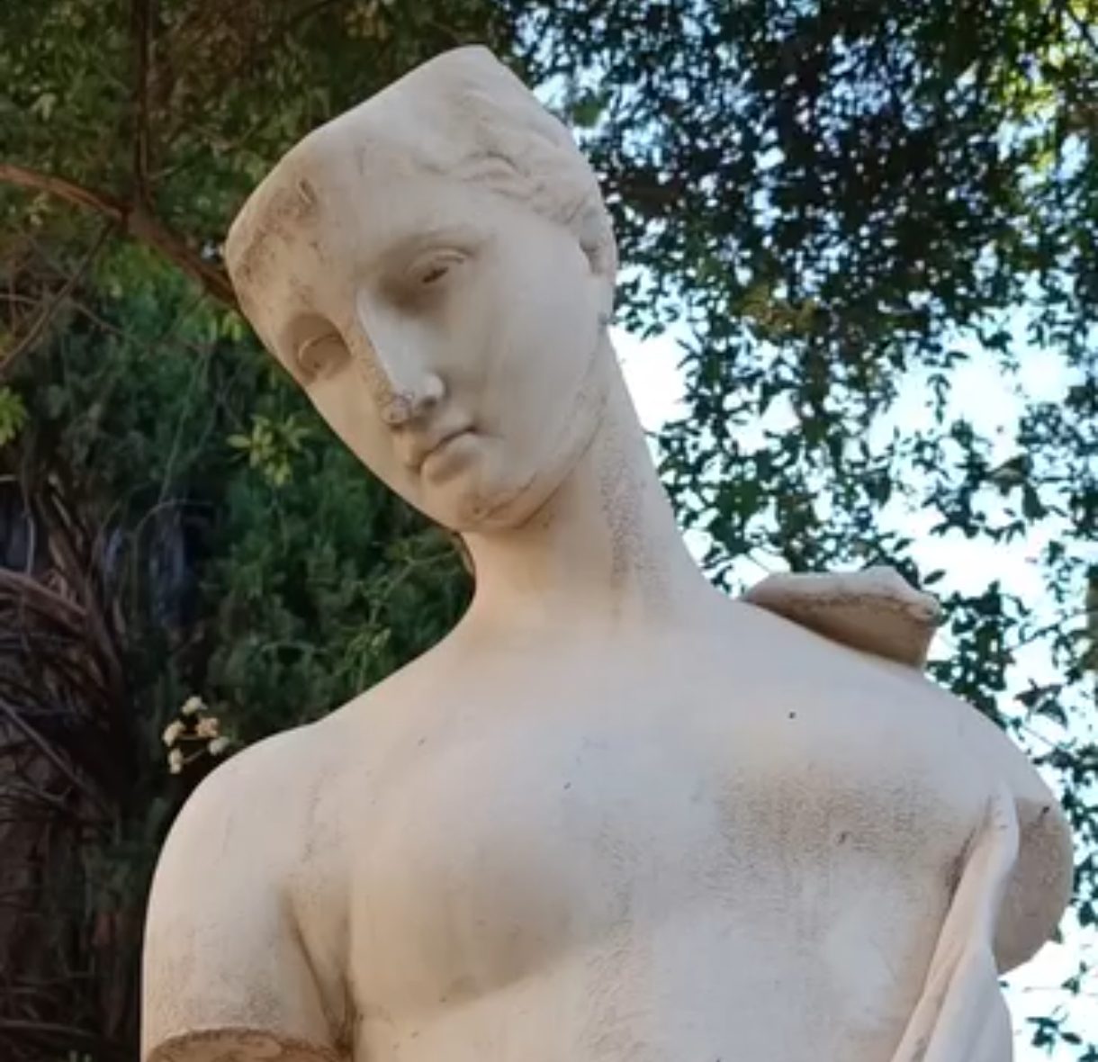 El busto seccionado del Carmen Blanco